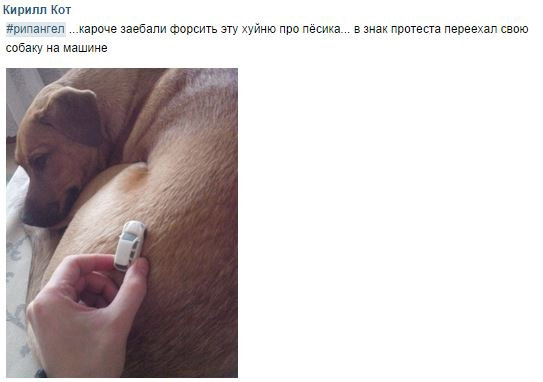 Смешные комментарии 18.01.2015