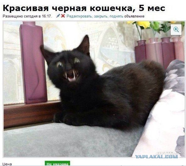 Эпичные фотографии