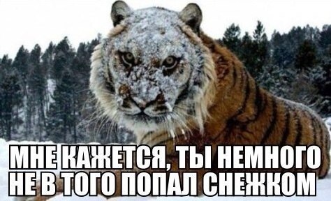 Веселая подборка