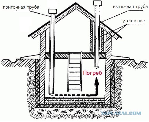 Джастас Уолкер показывает свою ферму.