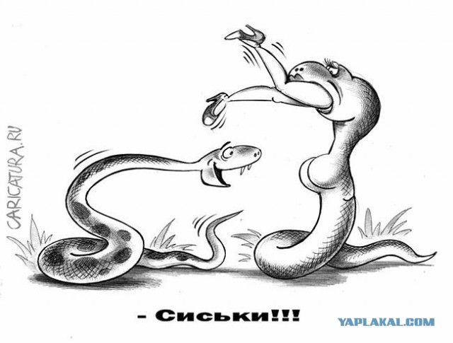 Средневековое веселье 2