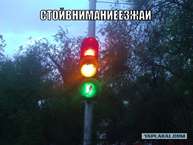 Разные разности с телефона