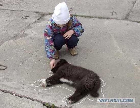 Рисунок мелом на асфальте