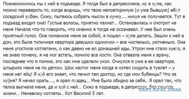 30 признаков, что ваш кот, возможно, планирует