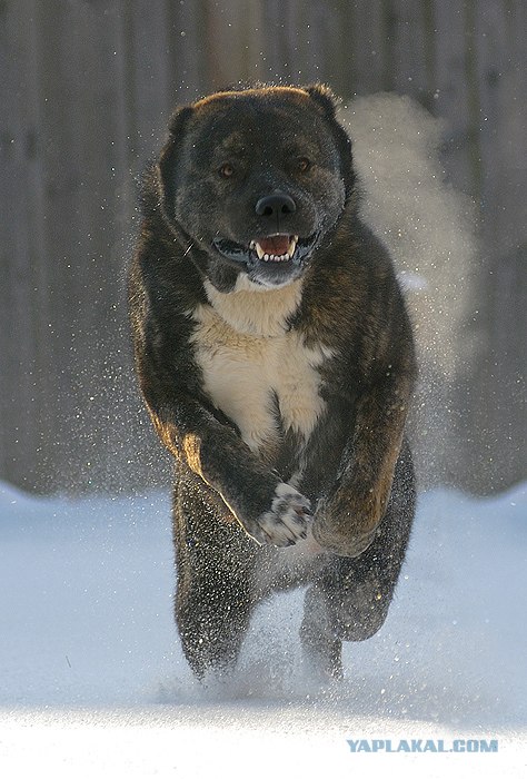 Молодые мамы Магнитогорска любуются на закат