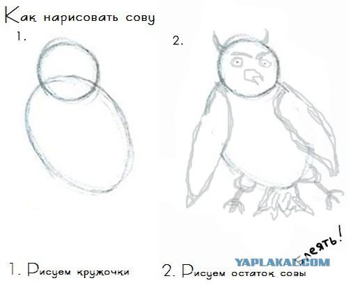 Сложный способ нарисовать кота