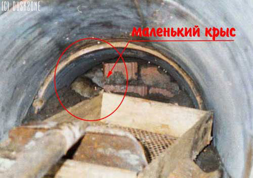 Река Неглинка