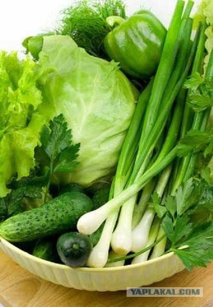 Туалет "лето-зима" для сада-дачи.