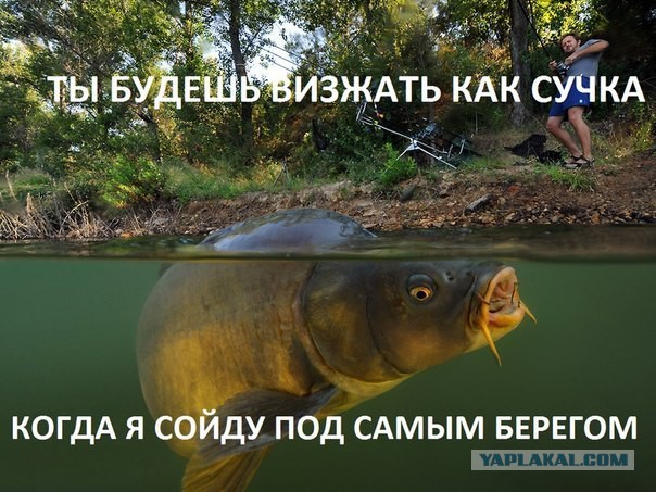 Картинки набрались разные