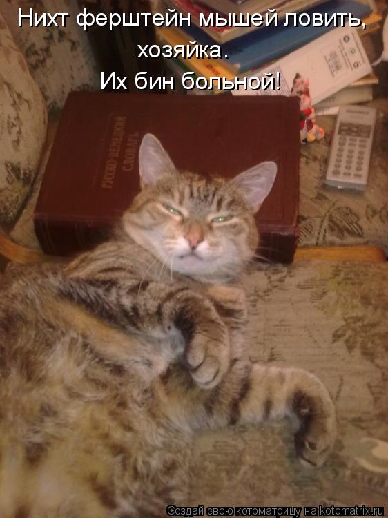 Давайте знакомиться