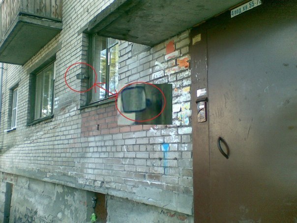 У них действует только одно правило