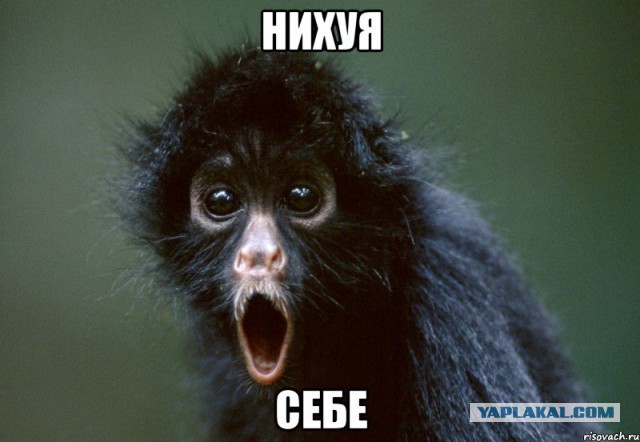 Новый тренд соцсетей – ручка как доказательство пышной груди