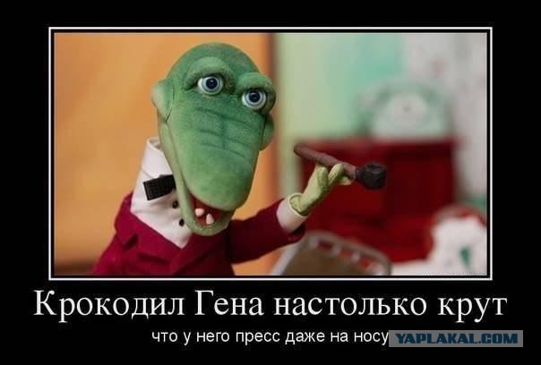 Веселые картинки