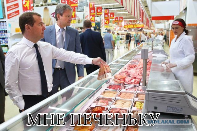 Ходят ли депутаты и чиновники за продуктами