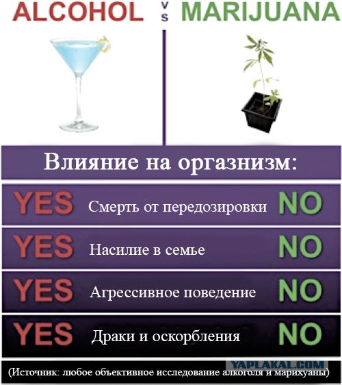 И все равно они курят это говно!