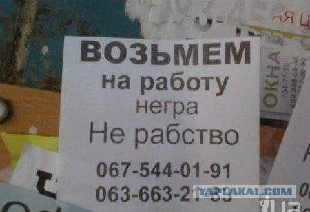 Подборка прикольных объявлений и надписей.