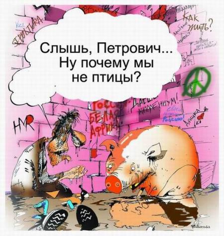 КАРИКАТУРЫ. Прикольные карикатуры