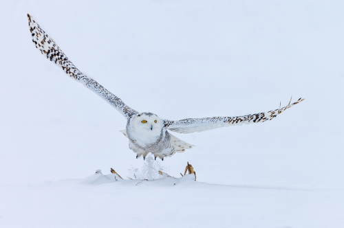 Подборка картинок 29.03.16