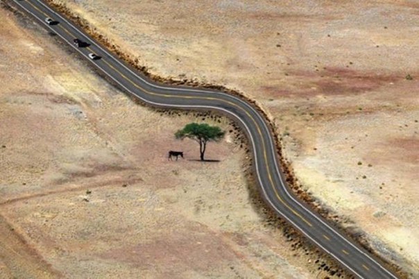 Подборка интересных и веселых картинок