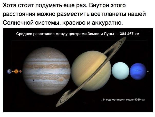 Интересные и веселые картинки
