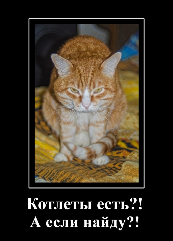 Котлета