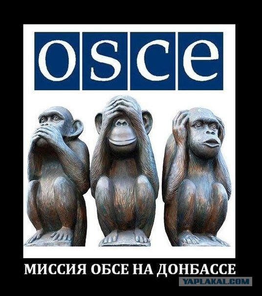 ФСБ задержала члена СММ ОБСЕ, собиравшего данные для украинских спецслужб