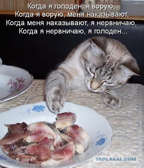 Денег нет, но вы держитесь... (с)