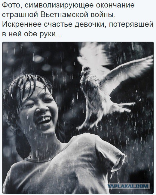 Посвящаю это людям