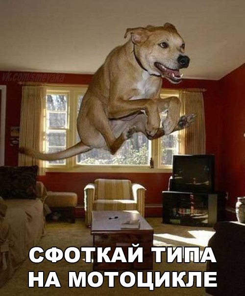 Винегрет фоток на пятницу...