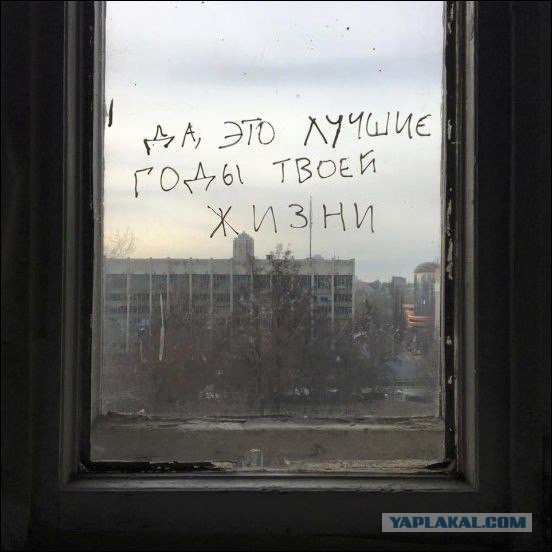 Оптимистические фотки