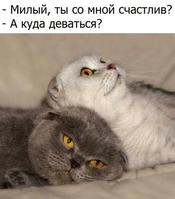 Соцсети - и смех и грех