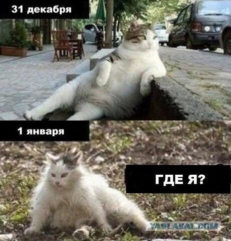 Крик души: Опозорился по пьяни. Как мне жить дальше?