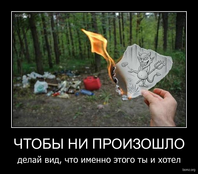 Подборка интересных и веселых картинок