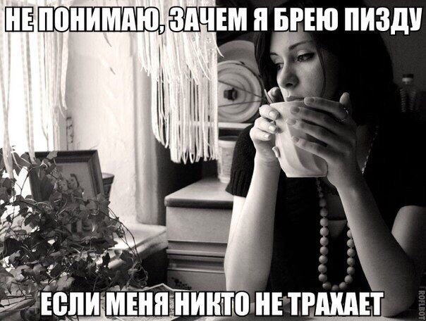 Весёлые картинки из интернета
