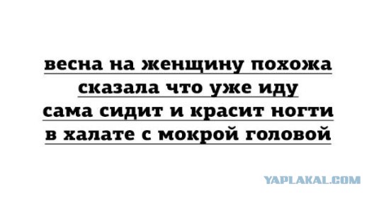 Весёлые картинки из интернета
