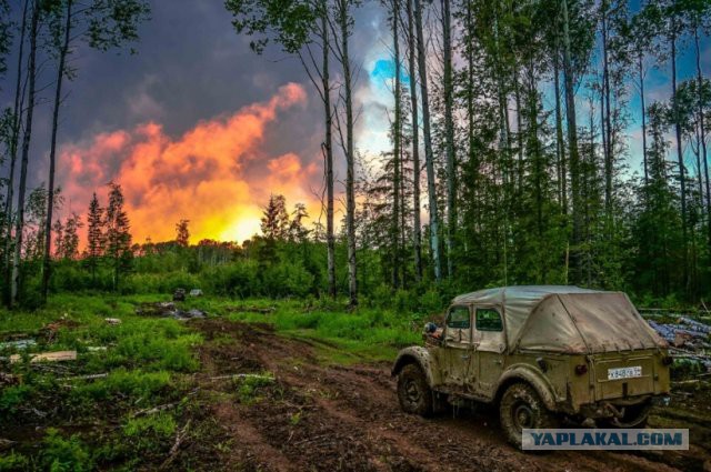 Два смоленских "учителя" решили проучить девушку