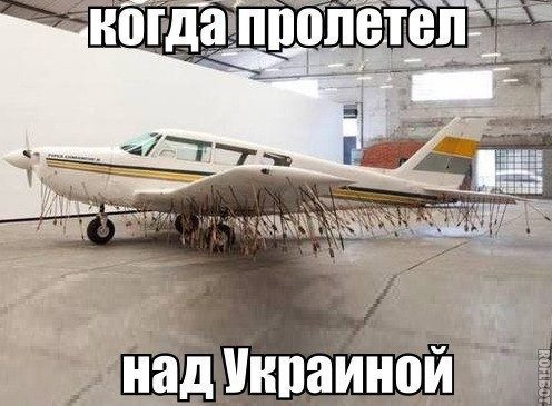 Подборка интересных и веселых картинок