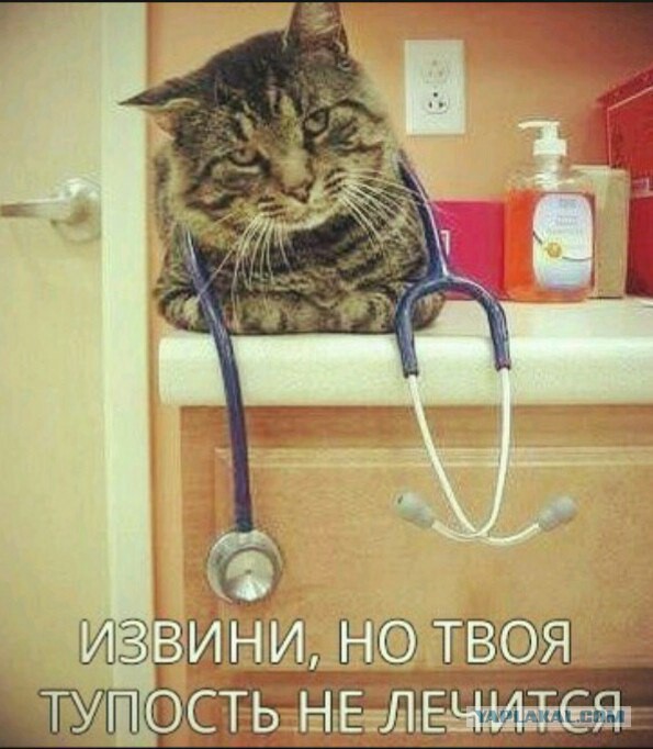 В Москве на Бессмертный Полк пришло чуть больше 100 человек