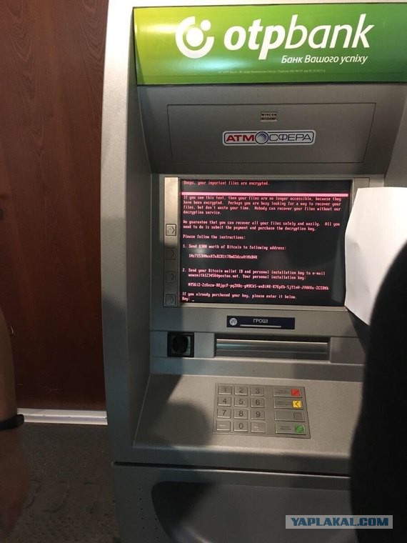 Здравствуй Petya
