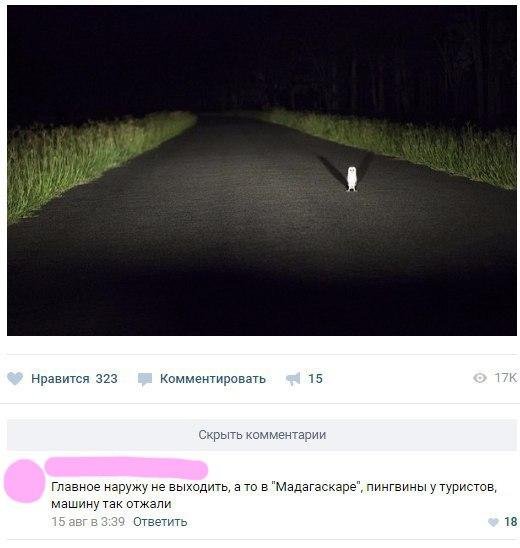 Приколы в стиле "регресс"