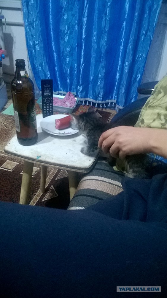 Пополнение в семье