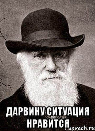Чокнутый из Иванова прыгнул с балкона многоэтажного дома