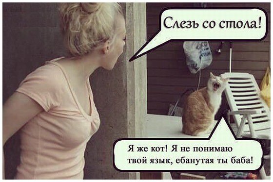Нестандартный юмор