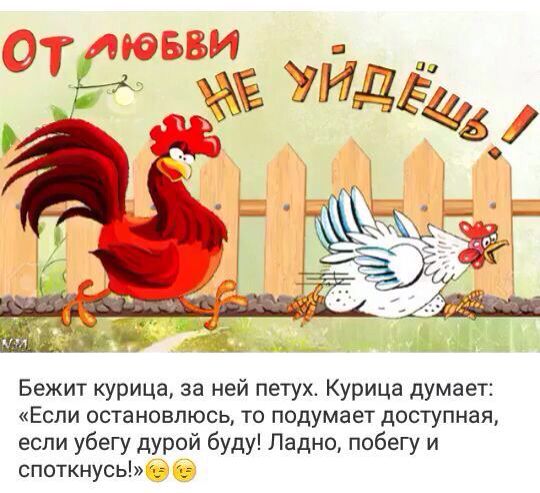 Почему мужчинам сложно с женщинами? Психологи поделились ответами из первых уст.