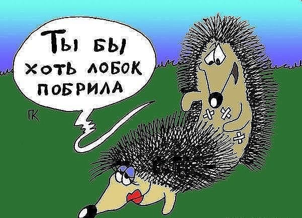 Подборка интересных и веселых картинок 14.08.18
