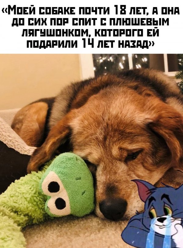 Прикольные картинки абавсём