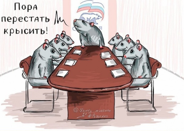 Помощника депутата от «Единой России» побили в ночном клубе Владивостока