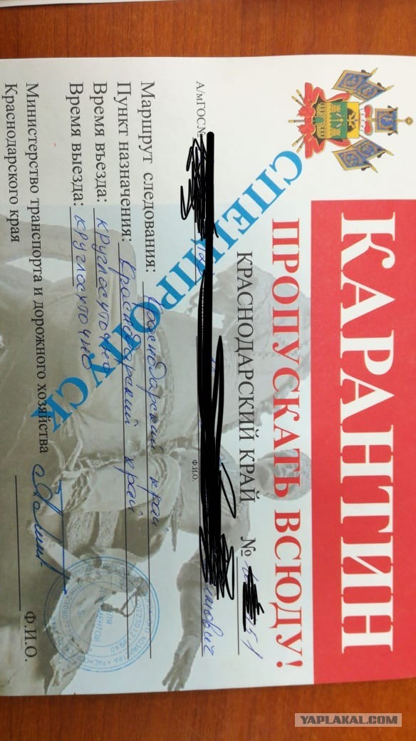 ДПС и карантин!