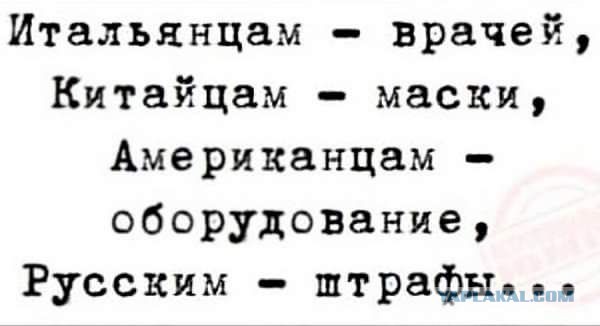 Теперь штрафы за прогулку без собаки стали законными