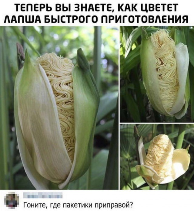 Так себе картинки 12.05.20